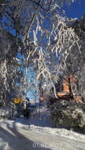 20170101_105602
