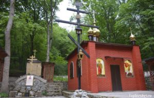 georgyi